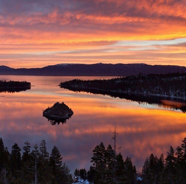 粉象生活联合创始人收益