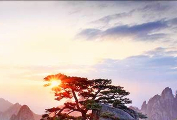 粉象生活可以赚钱吗