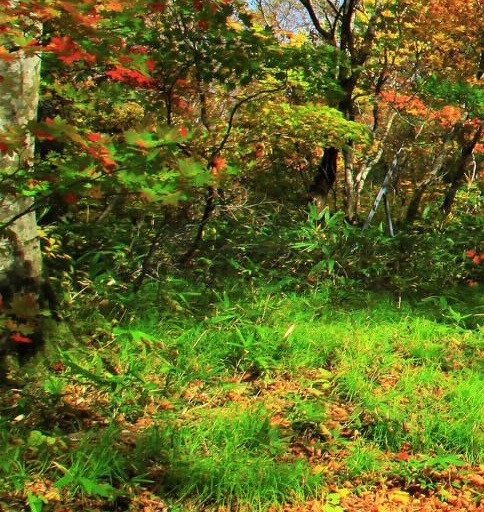 粉象生活怎么赚钱的