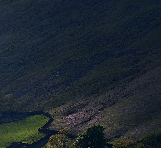 粉象生活怎么赚钱教程