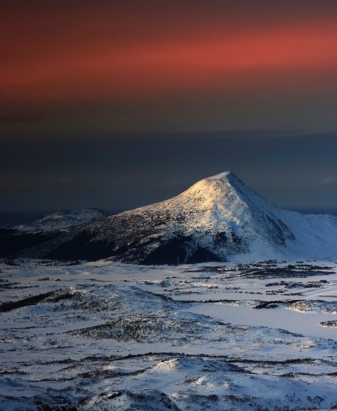 粉象生活有什么值得购买的