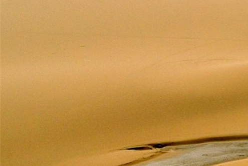 粉象生活需要成为vip才能提现吗