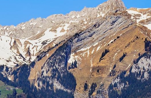 广东口碑粉象生活靠谱么