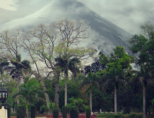 粉象生活邀请码