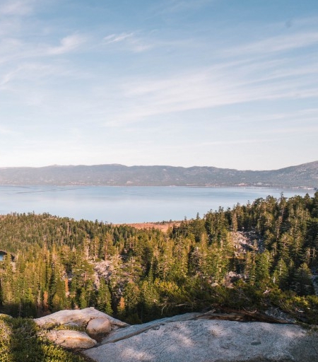 粉象生活邀请码