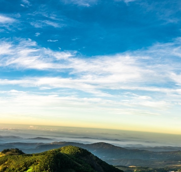 广东粉象生活电话
