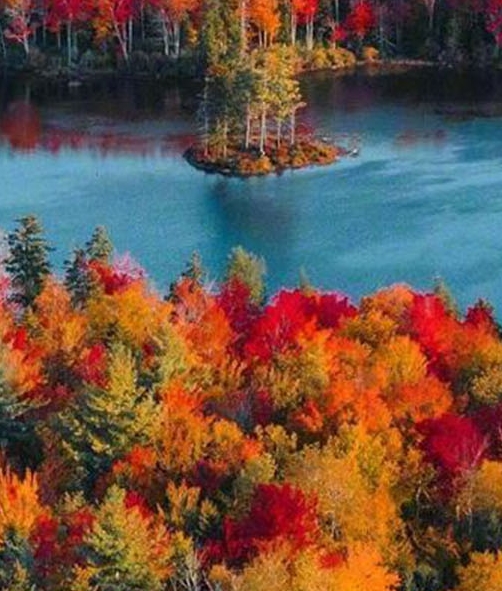 粉象生活真的嘛