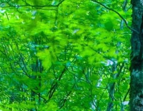 粉象生活怎么设置自动收款