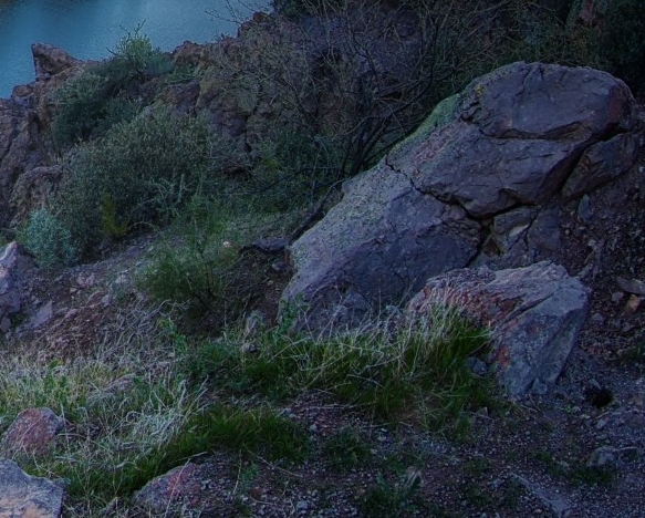 淘宝店家虚假发货怎么申诉