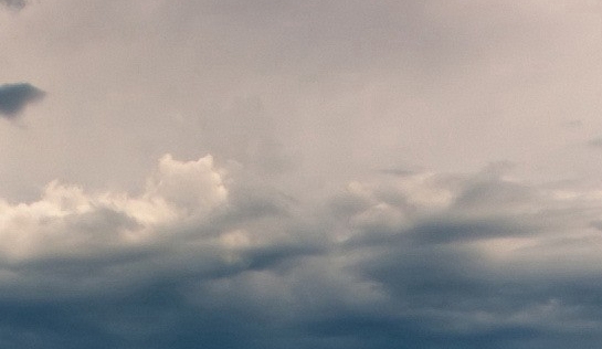 粉象生活下载app