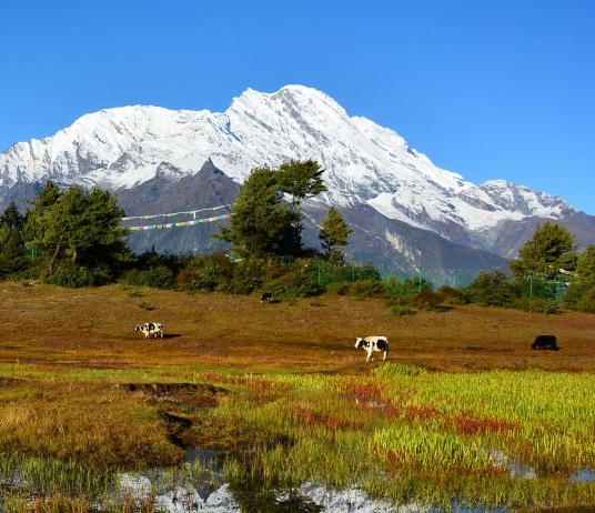 免费下载粉象生活