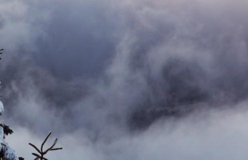 粉象生活邀请码