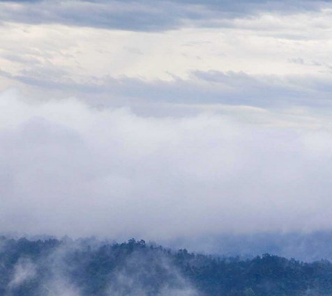 粉象生活赚钱教程