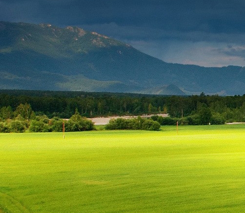 粉象生活送礼品活动方案