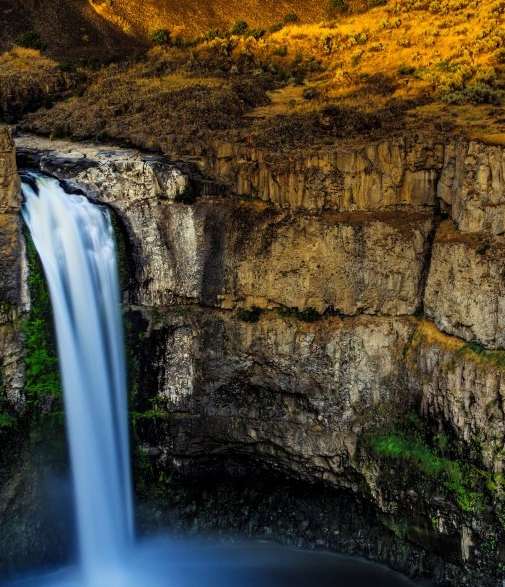 咸鱼和粉象生活