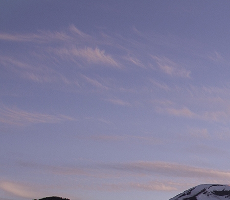 粉象生活推广技巧