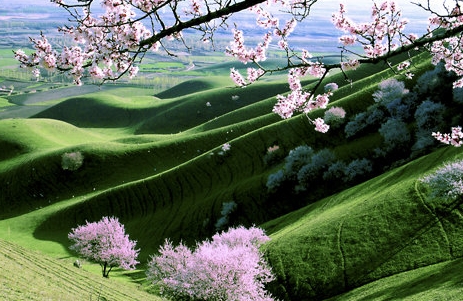 粉象生活可以赚钱吗