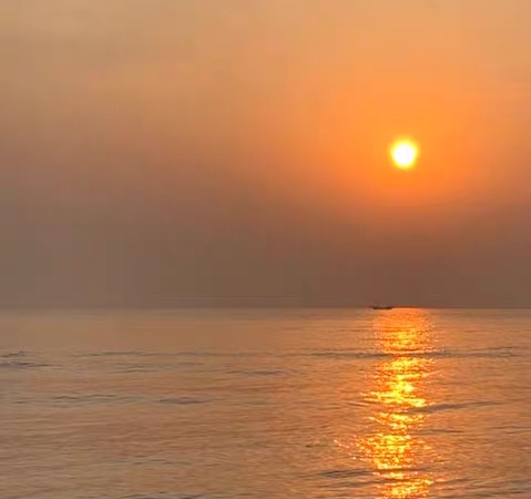 粉象生活能不能做