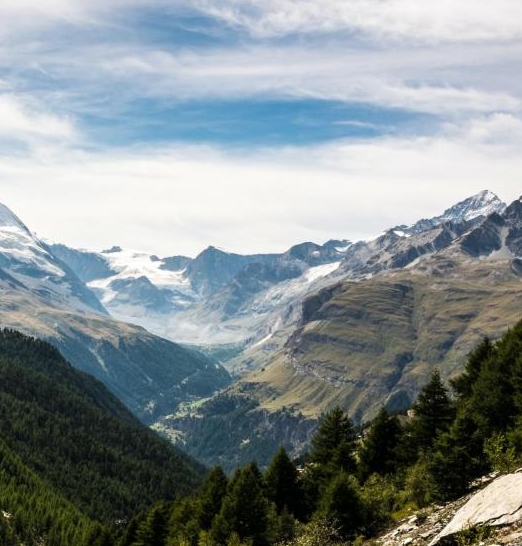 粉象生活如何写文章推广