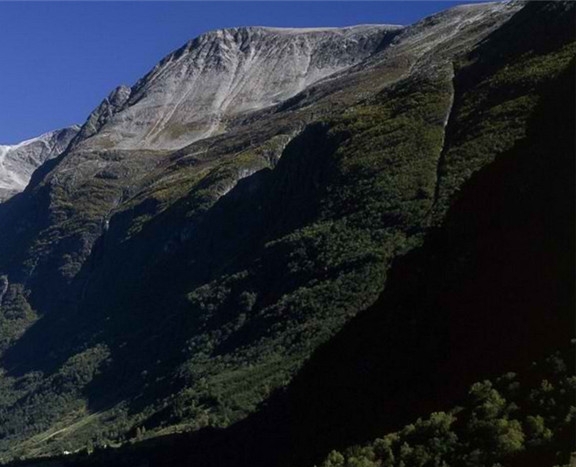 杭州粉象生活投资