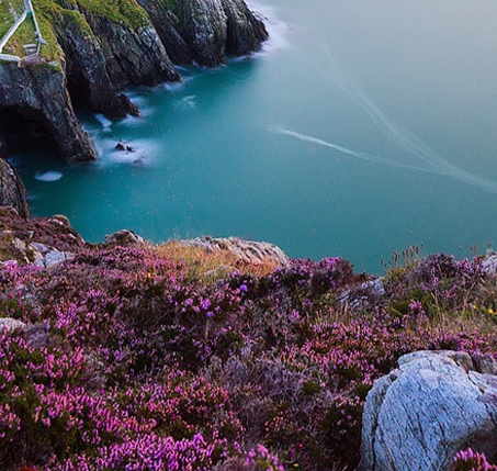 粉象生活有什么收益