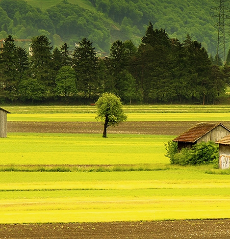 粉象生活赚钱教程