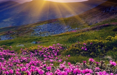 粉象生活返现是真的吗