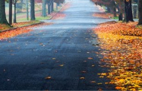 粉象生活和花生哪个好