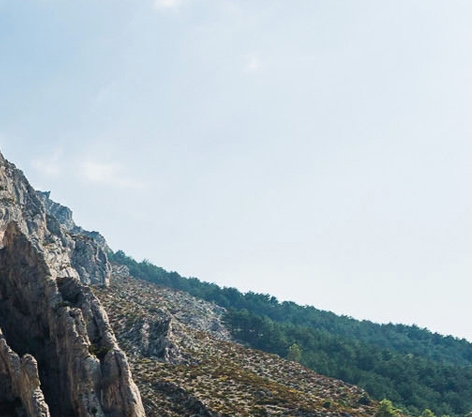 粉象生活怎么退出邀请码