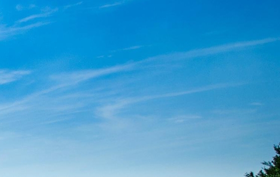 粉象生活赚钱的有哪些