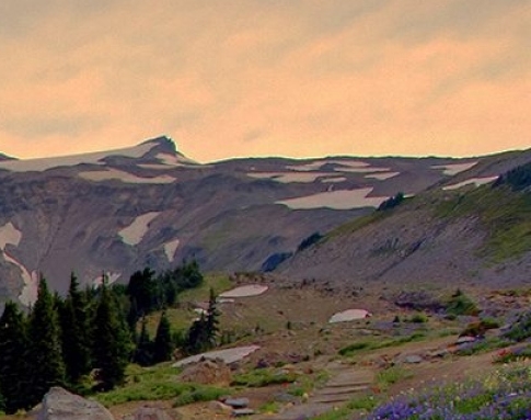 粉象生活如何使用