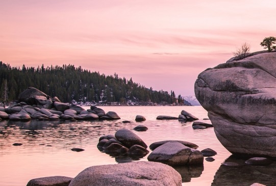 肇庆粉象生活赚钱