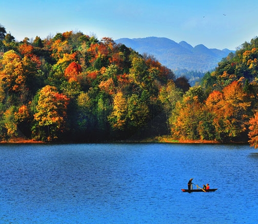 粉象生活下载app