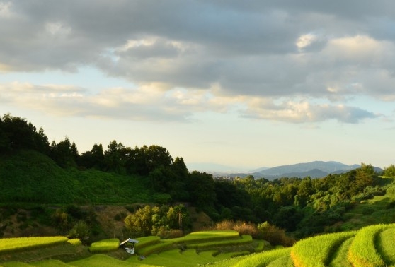 粉象生活商城怎么挣钱
