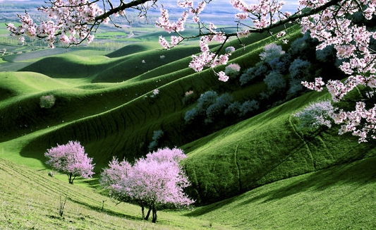 粉象生活赚钱教程