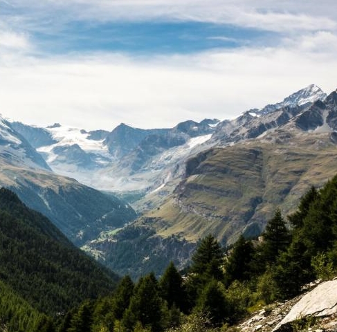 粉象生活怎么开店铺赚钱