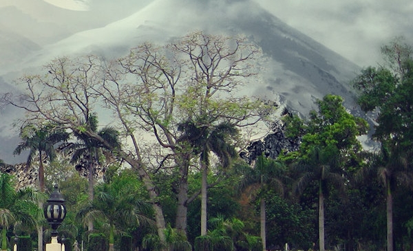 粉象世界app官方下载