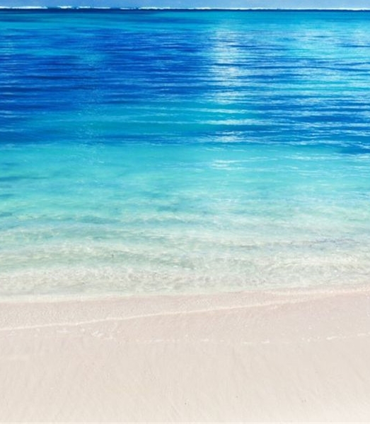 粉象生活是什么时候上线