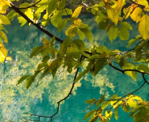 粉象生活的大佬