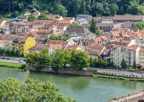 粉象生活为什么要20个合伙人