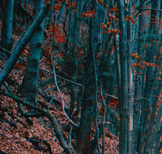 粉象生活可以用淘宝付款吗