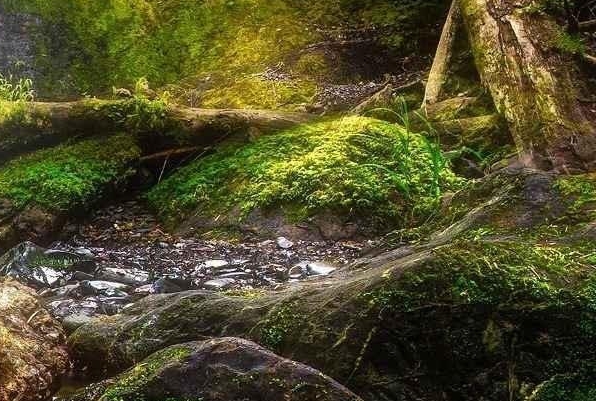 台州关于粉象生活推广