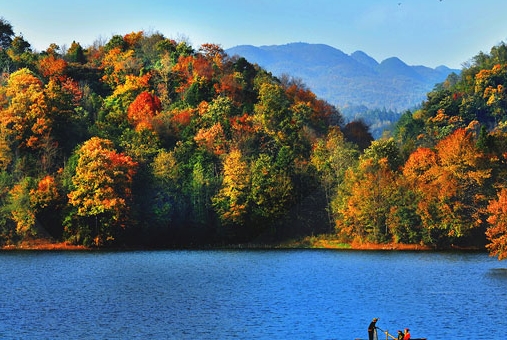 粉象生活升级太难