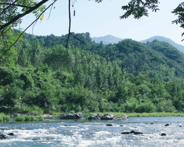 粉象生活如何加油优惠