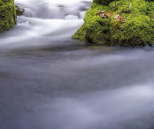 粉象生活怎么赚钱