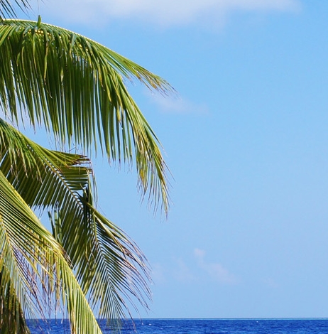 粉象生活分享任务怎么用