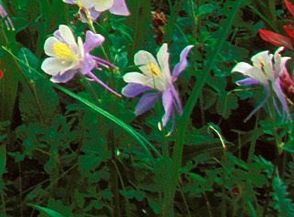 粉象生活新手期能赚多少钱