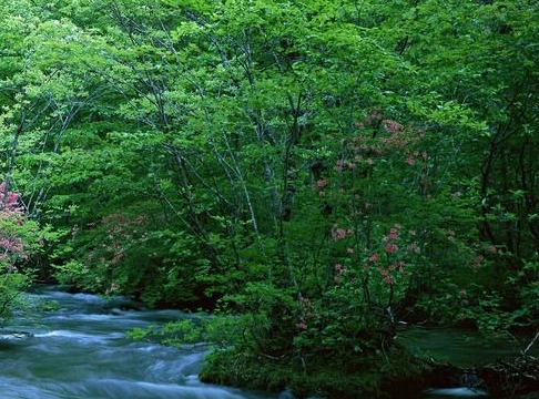粉象生活是什么