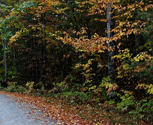 粉象生活如何订单同步