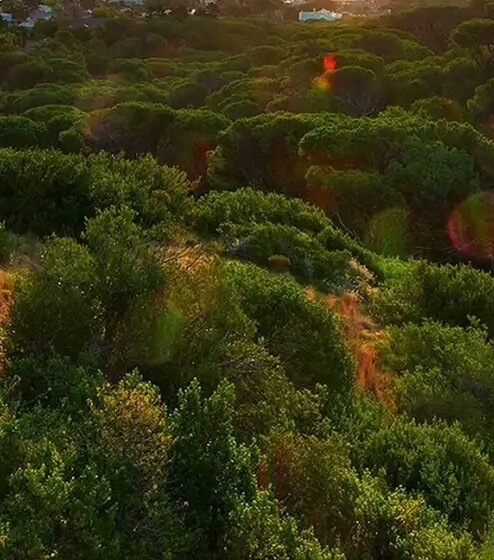 粉象生活充会员能赚钱吗